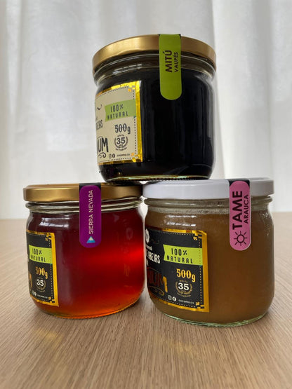 Kit Sabores de nuestra Tierra 500g (vidrio)